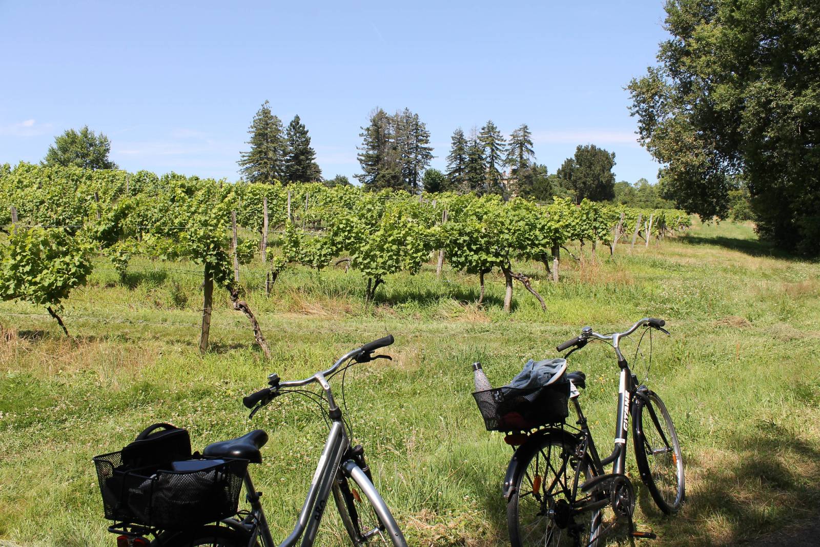 Hôtel pas cher idéal pour cycliste à Bordeaux 