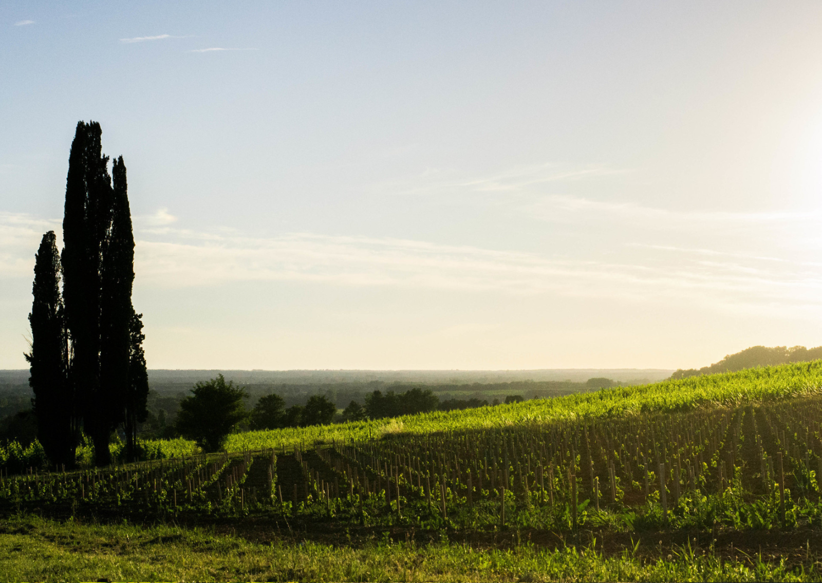 Hôtel confort et pas cher idéal pour dégustations de vins à Bordeaux