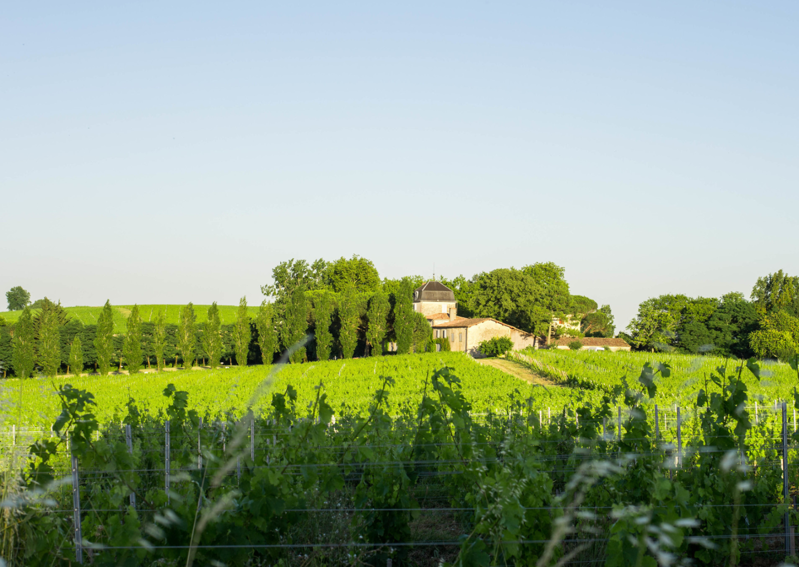 Hôtel confort et pas cher idéal pour dégustations de vins à Bordeaux
