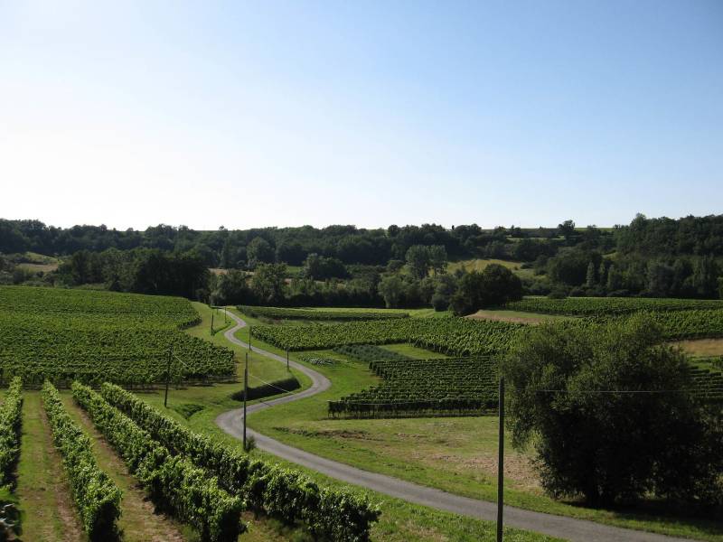 Explorez l'Entre-deux-Mers et ses Châteaux depuis les Airs en ULM