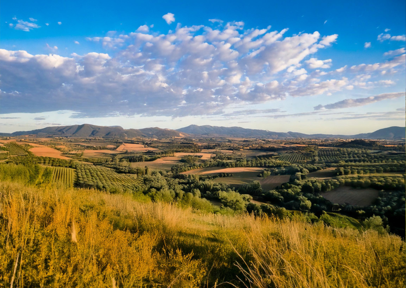 Venez explorer l’Entre-deux-Mers, où patrimoine, nature et convivialité se rencontrent. Réservez dès maintenant à l’Hôtel ATENA Créon