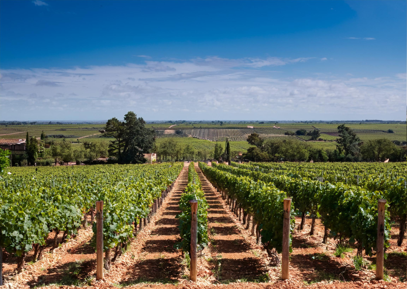 Découvrez les merveilles de Bordeaux tout en séjournant dans un hébergement confortable et engagé dans le tourisme durable à l’Hôtel Atena Créon