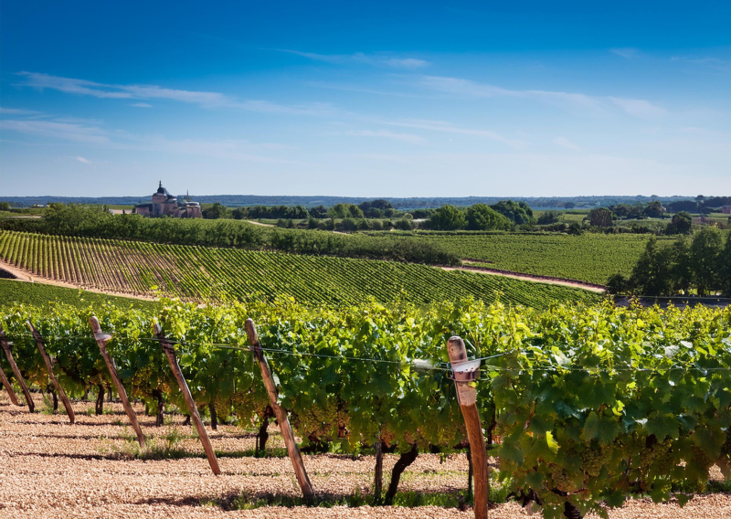 Organisez vos événements professionnels ou personnels à l’Hôtel Atena Créon, un lieu chaleureux à proximité de Bordeaux, favorisant un tourisme responsable