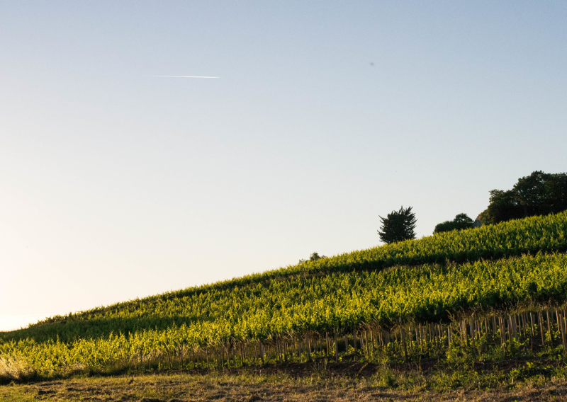 Hôtel confort et pas cher idéal pour dégustations de vins à Bordeaux