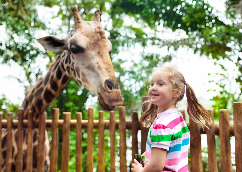 Visite du zoo de Bordeaux pour découvrir la faune 