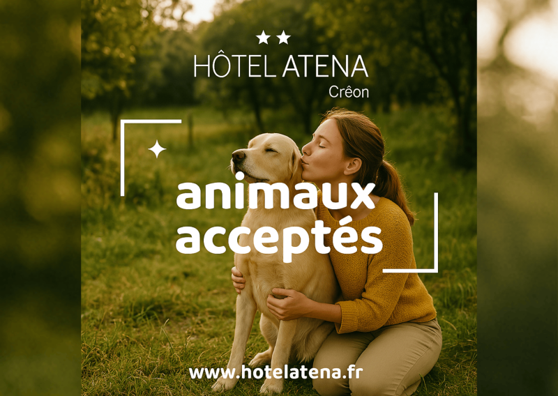 Nos amis les animaux sont les bienvenus à l’Hôtel Créon 