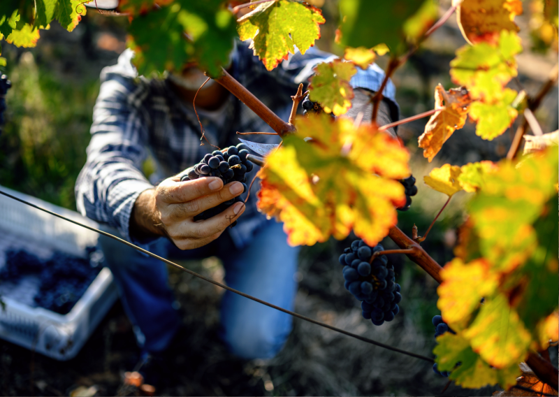 hotel-atena-creon-entre-deux-mers-tourisme-sud-ouest-aquitaine