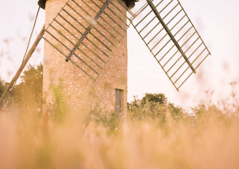 Les moulins de l’Entre-Deux-Mers – Patrimoine local à découvrir lors de votre séjour à l’Hôtel ATENA Créon.