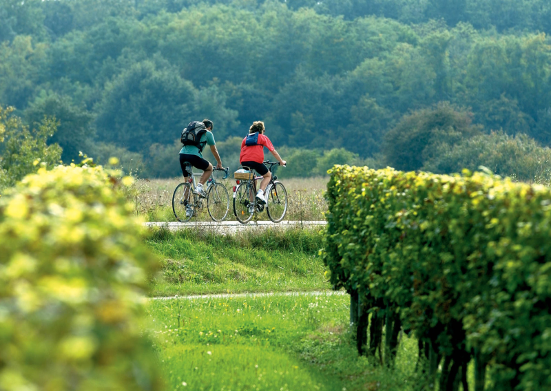 Balade à vélo dans les vignes – Séjour détente à l’Hôtel ATENA, hôtel labellisé Accueil Vélo à Créon